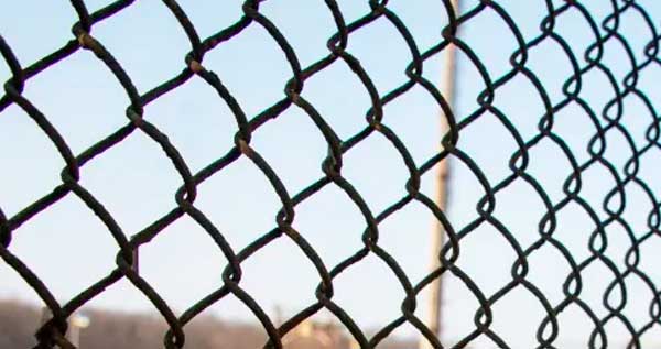 Металлическая сетка Рабица